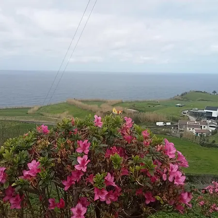 Basaltic House Pedreira